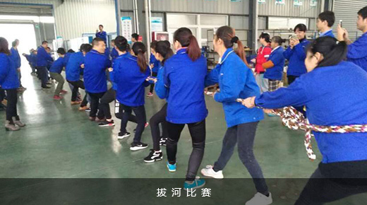 欧陆电气拔河比赛.jpg